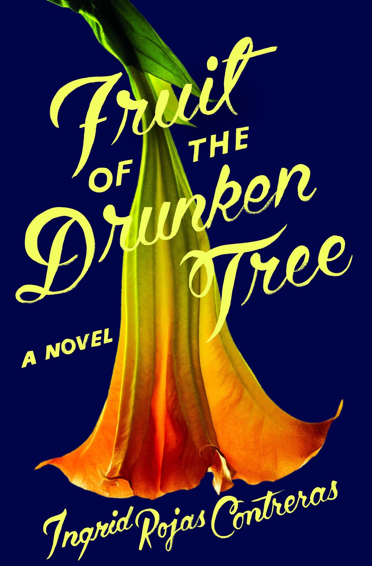 Cover of Fruit of the Drunken Tree