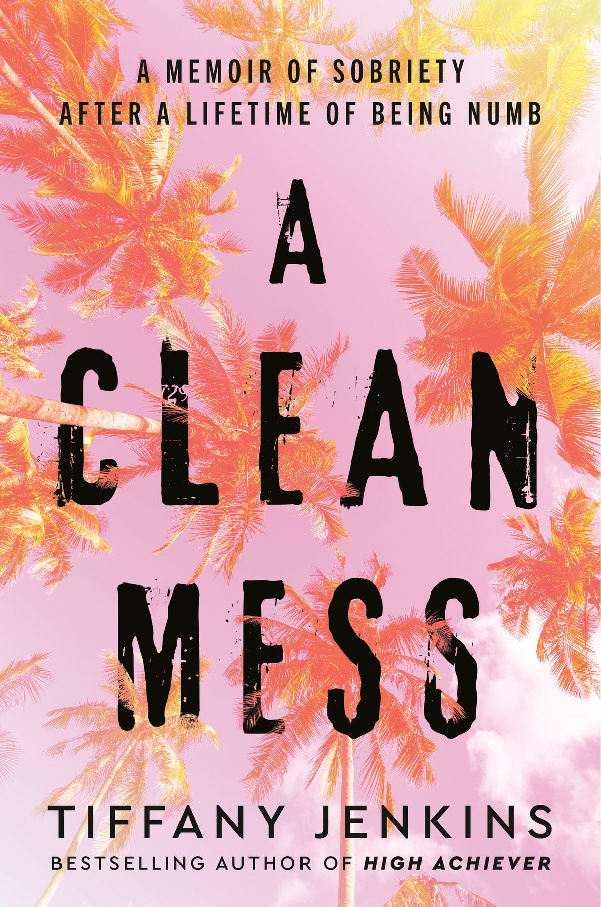 Cover of A Clean Mess