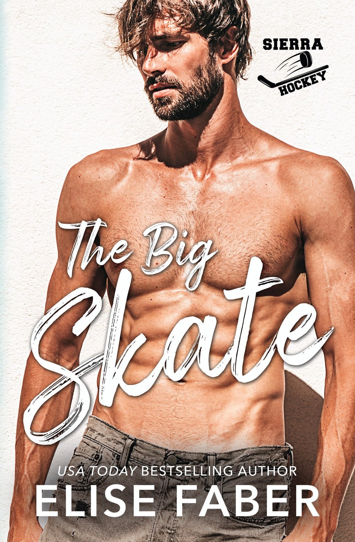 Cover of The Big Skate