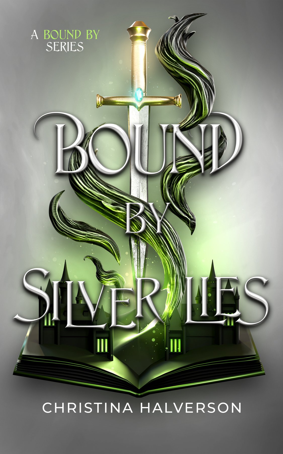 Cover of Bound by Silver Lies - A Bound by Series (2026)