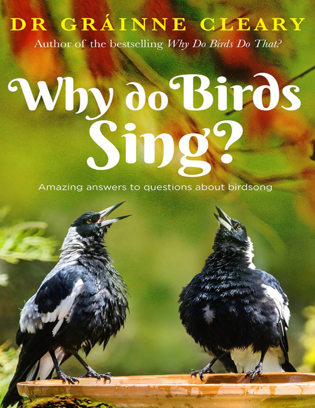 Cover of Why Do Birds Sing?