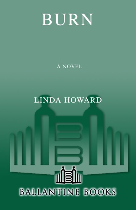 Cover of Burn: A Novel