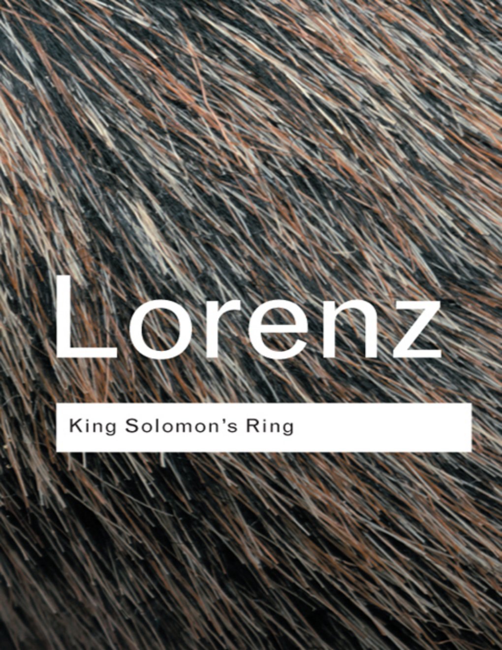 Cover of King Solomon's Ring