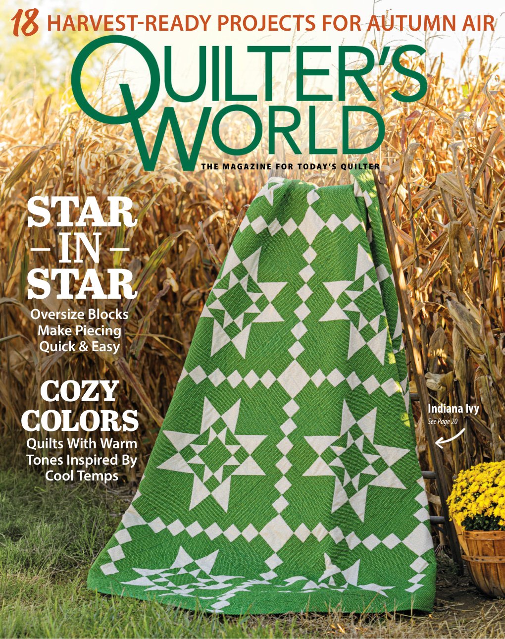 Cover of COLORS