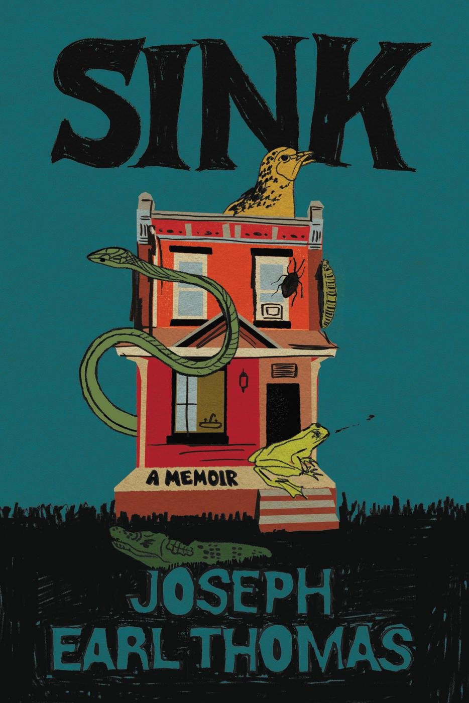 Cover of Sink (2020)
