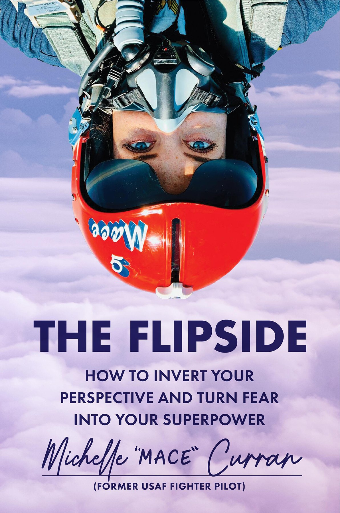 Cover of The Flipside