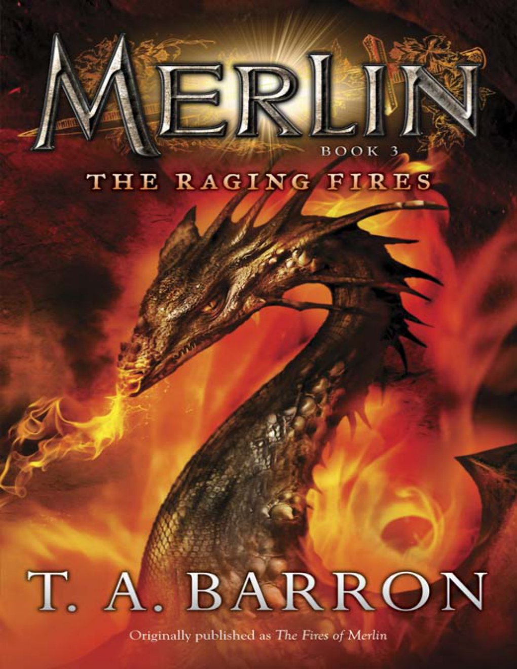 Cover of The Raging Fires (1996)