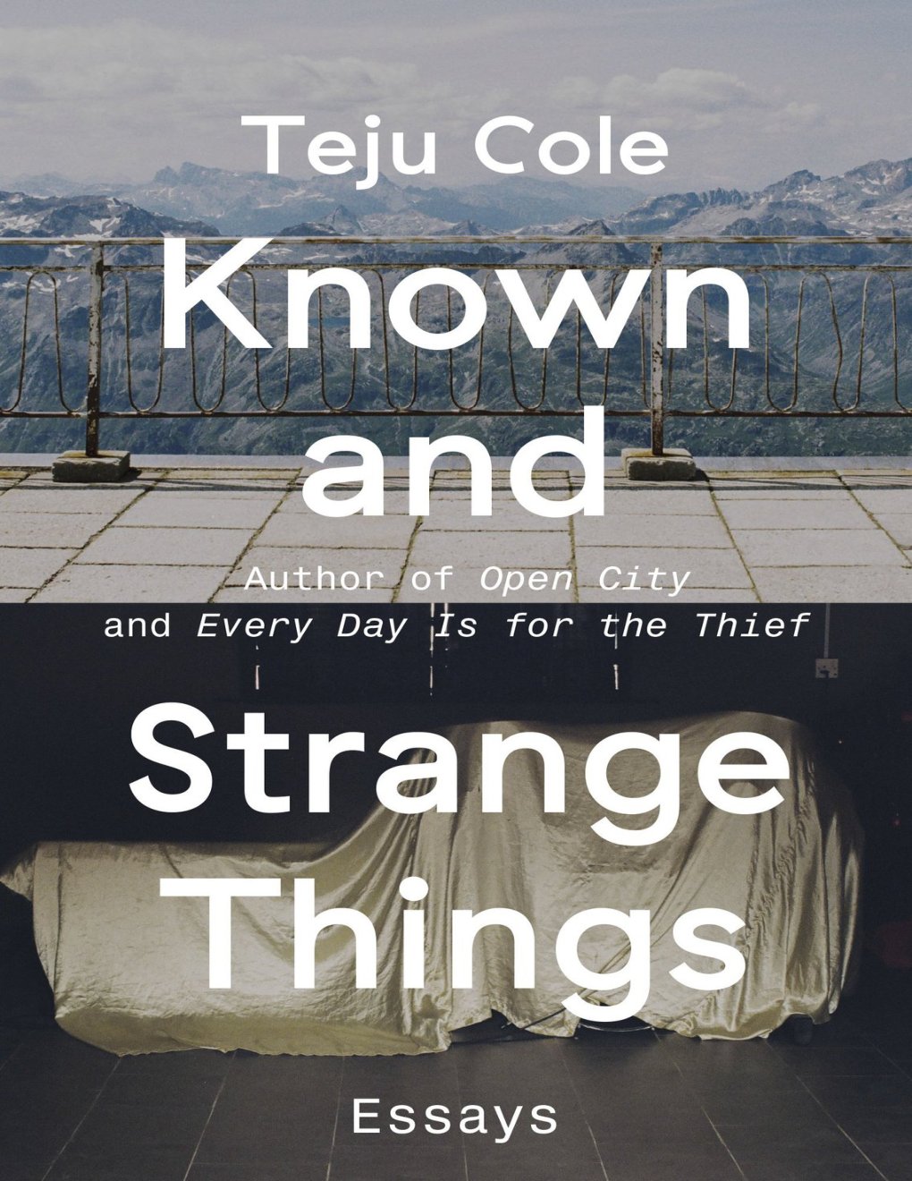 Cover of Known and Strange Things