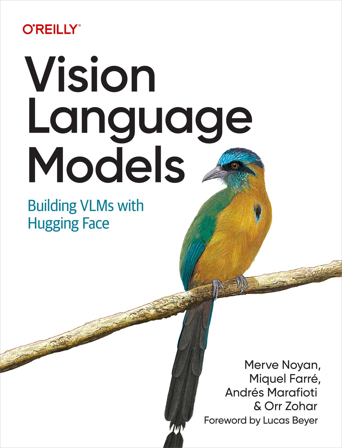 Cover of Vi