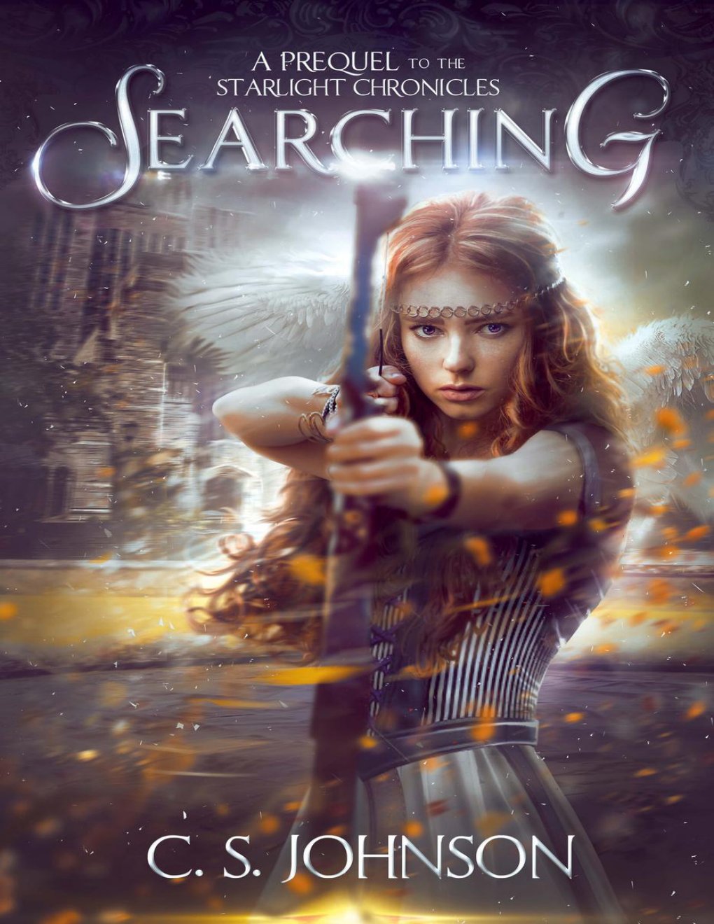 Cover of Searching
