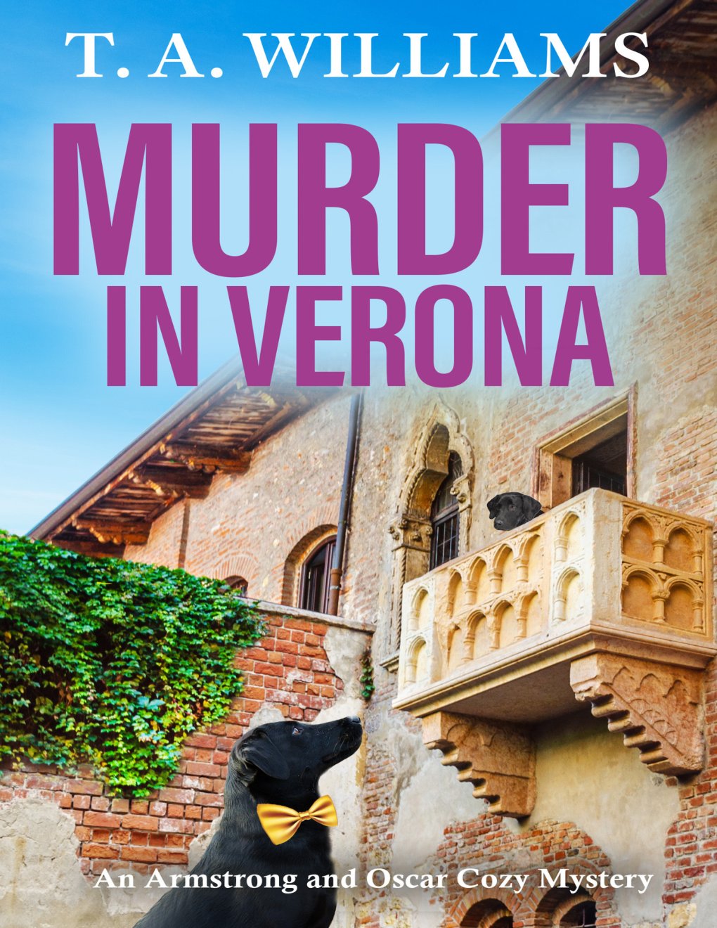 Cover of Murder in Verona (1988)