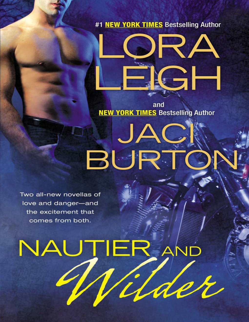 Cover of Nautier and Wilder (2013)
