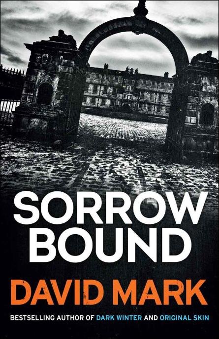 Cover of Sorrow Bound (1743)