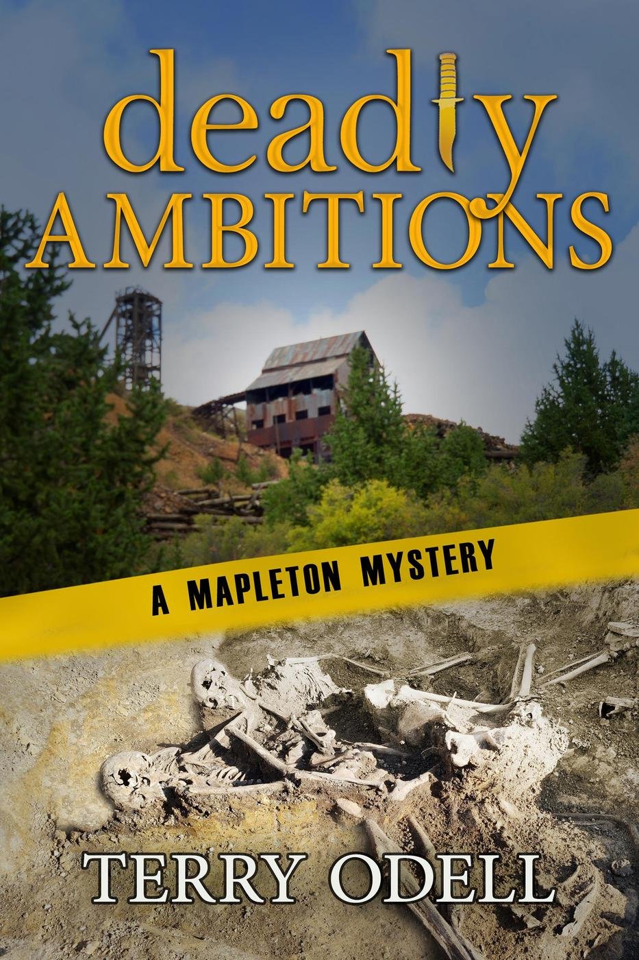 Cover of Deadly Ambitions