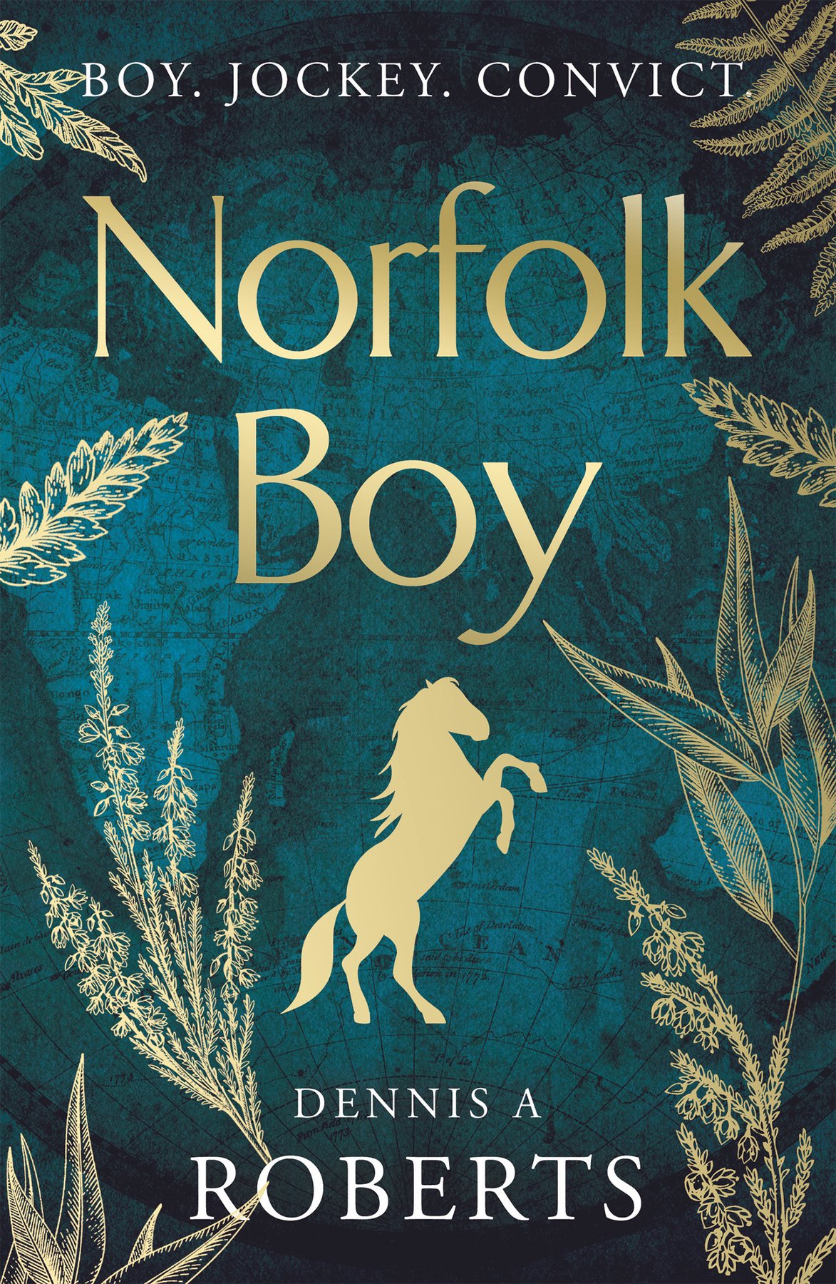 Cover of Norfolk Boy
