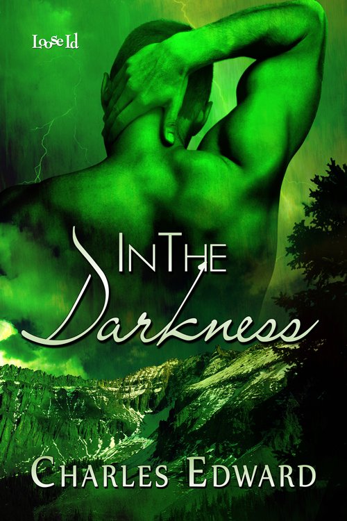 Cover of In the Darkness (2011)