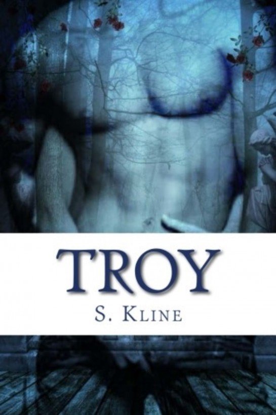 Cover of Troy