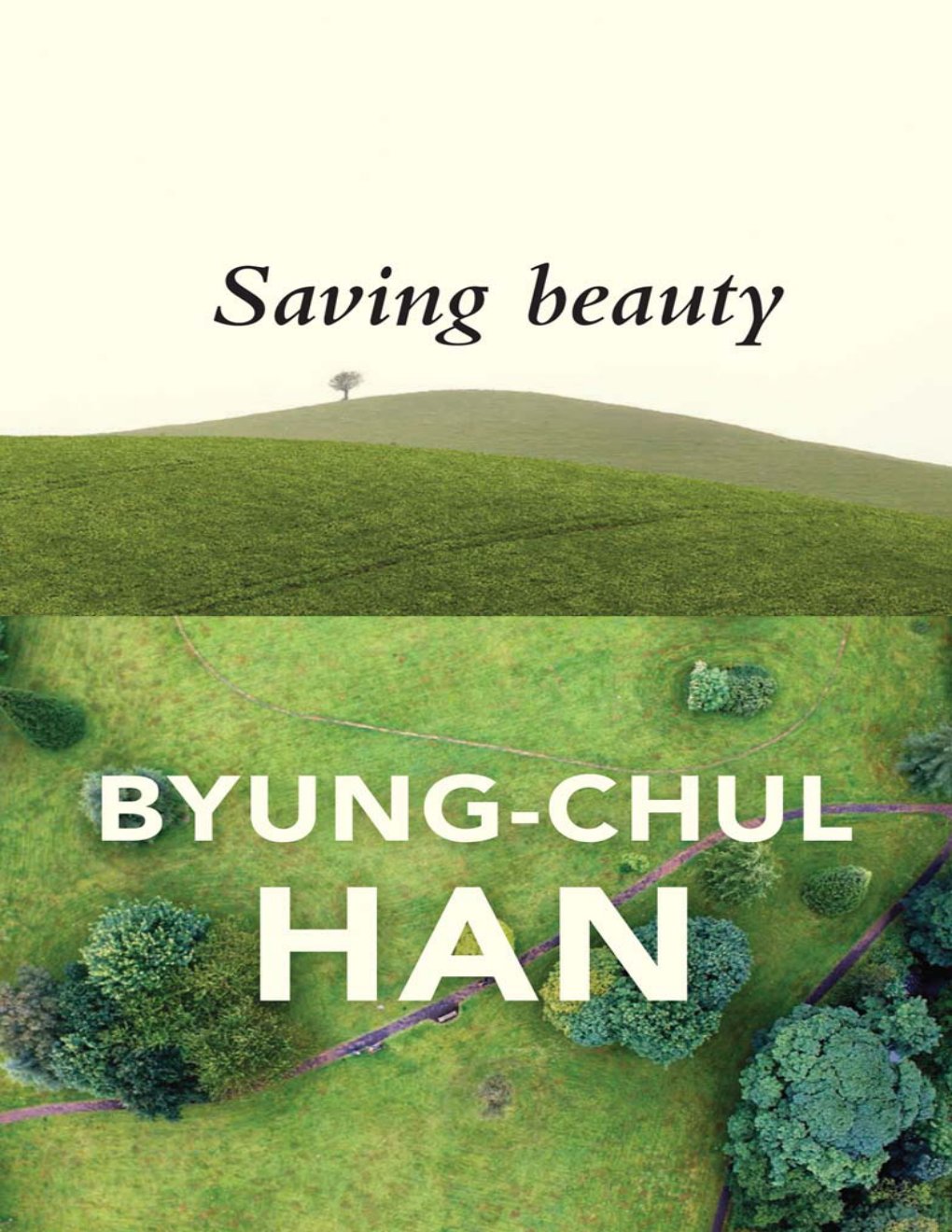Cover of Saving Beauty (1513)