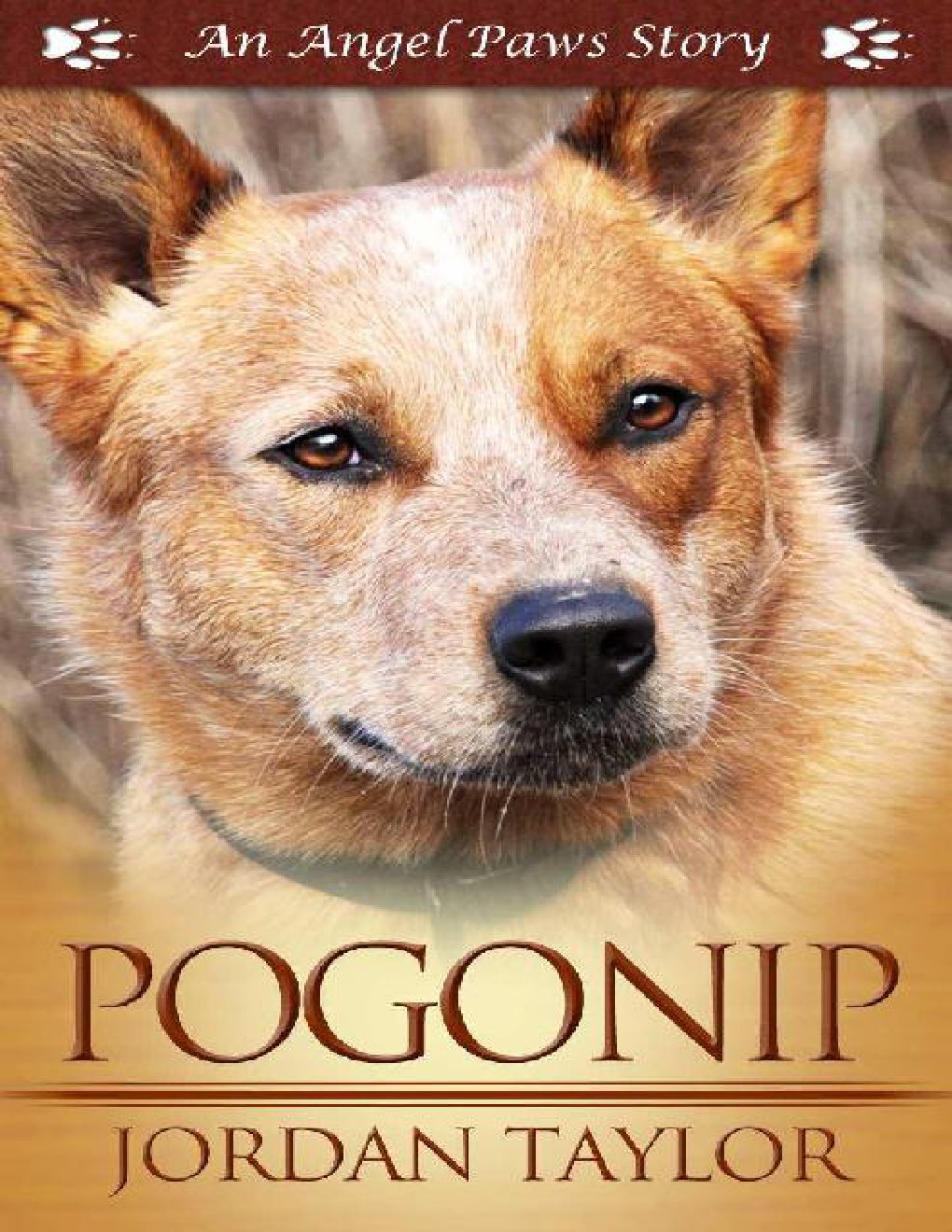 Cover of Pogonip (Angel Paws)