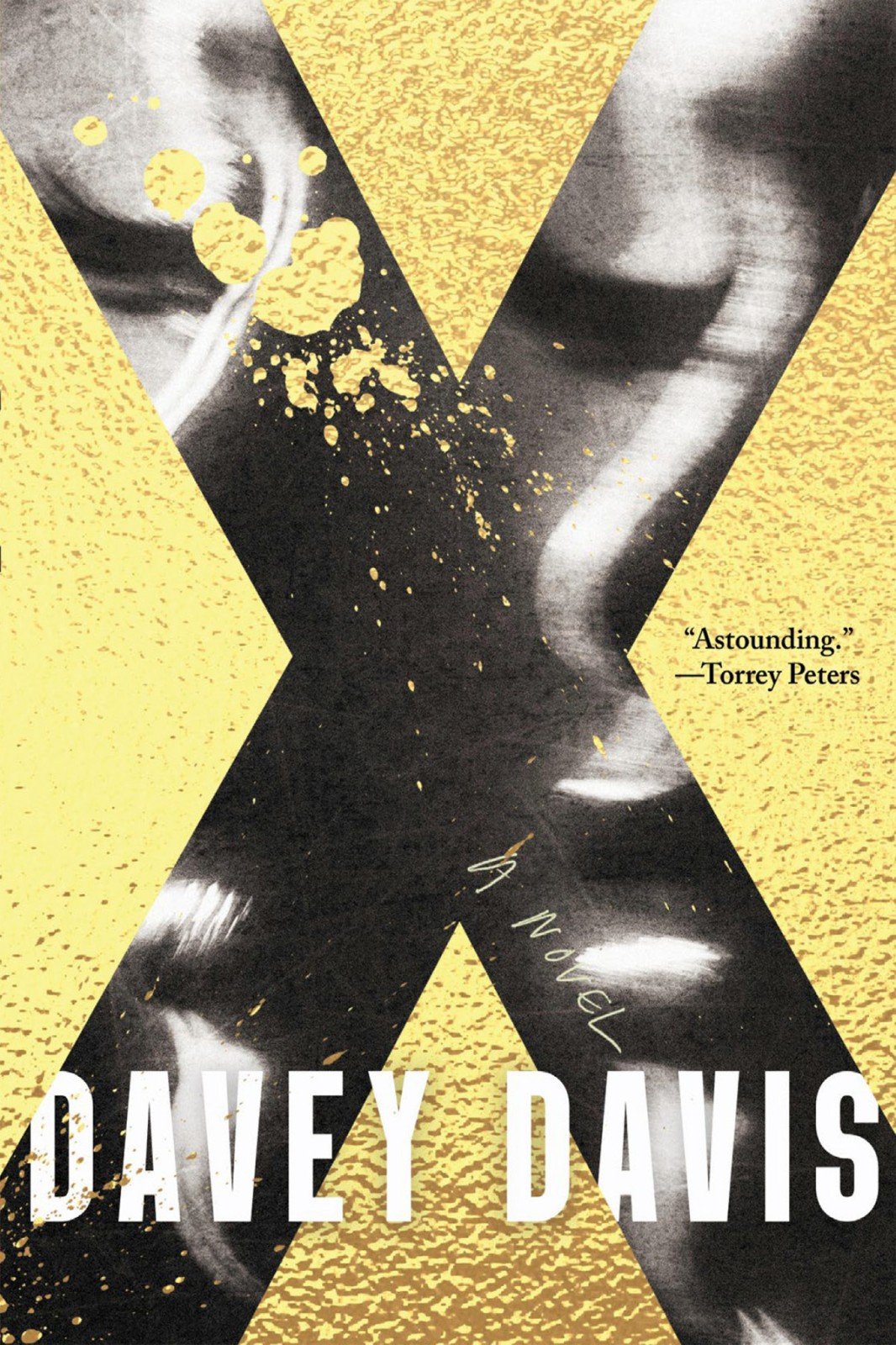 Cover of Davey Davis (2017)