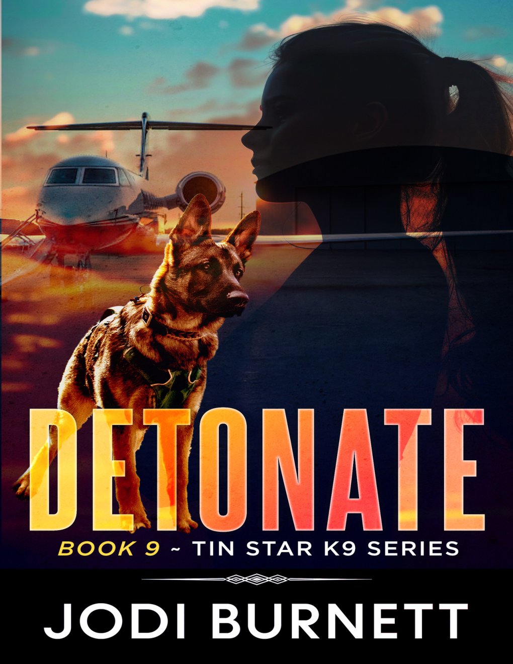 Cover of DETONATE (Tin Star K9 Series)