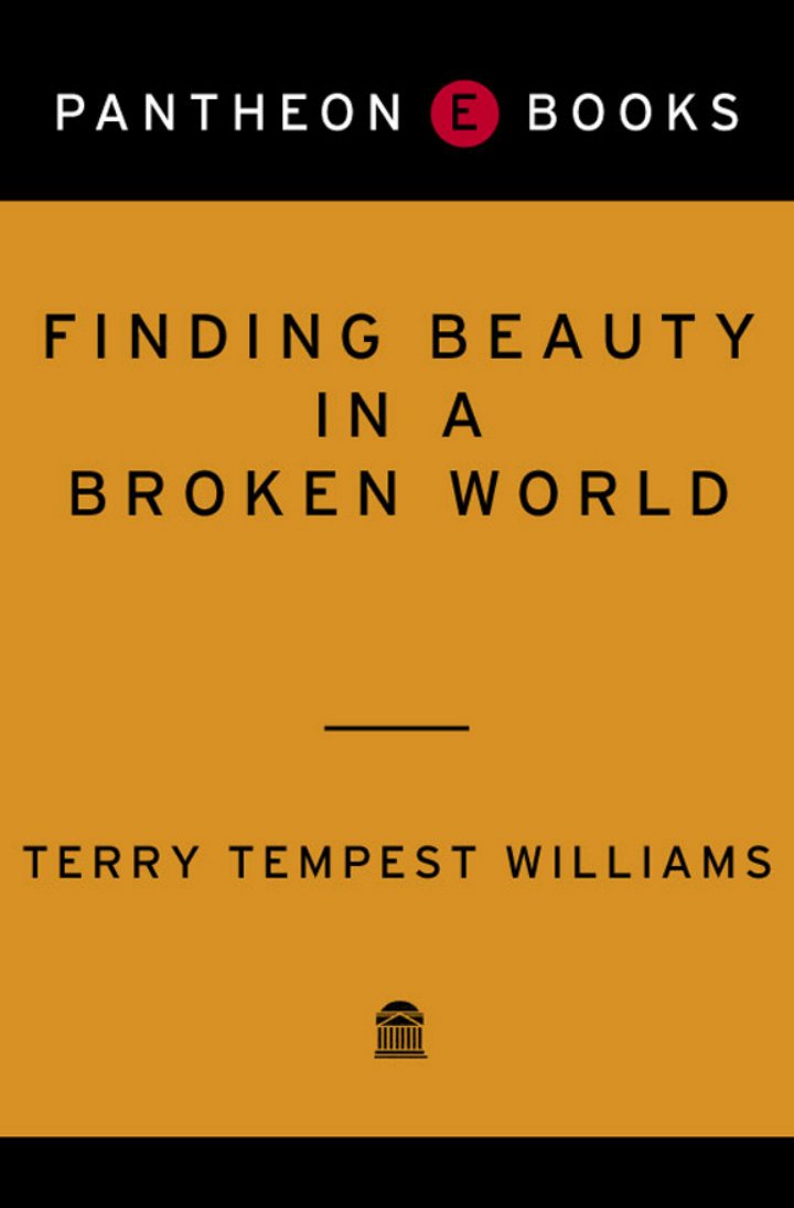 Cover of Finding Beauty in a Broken World
