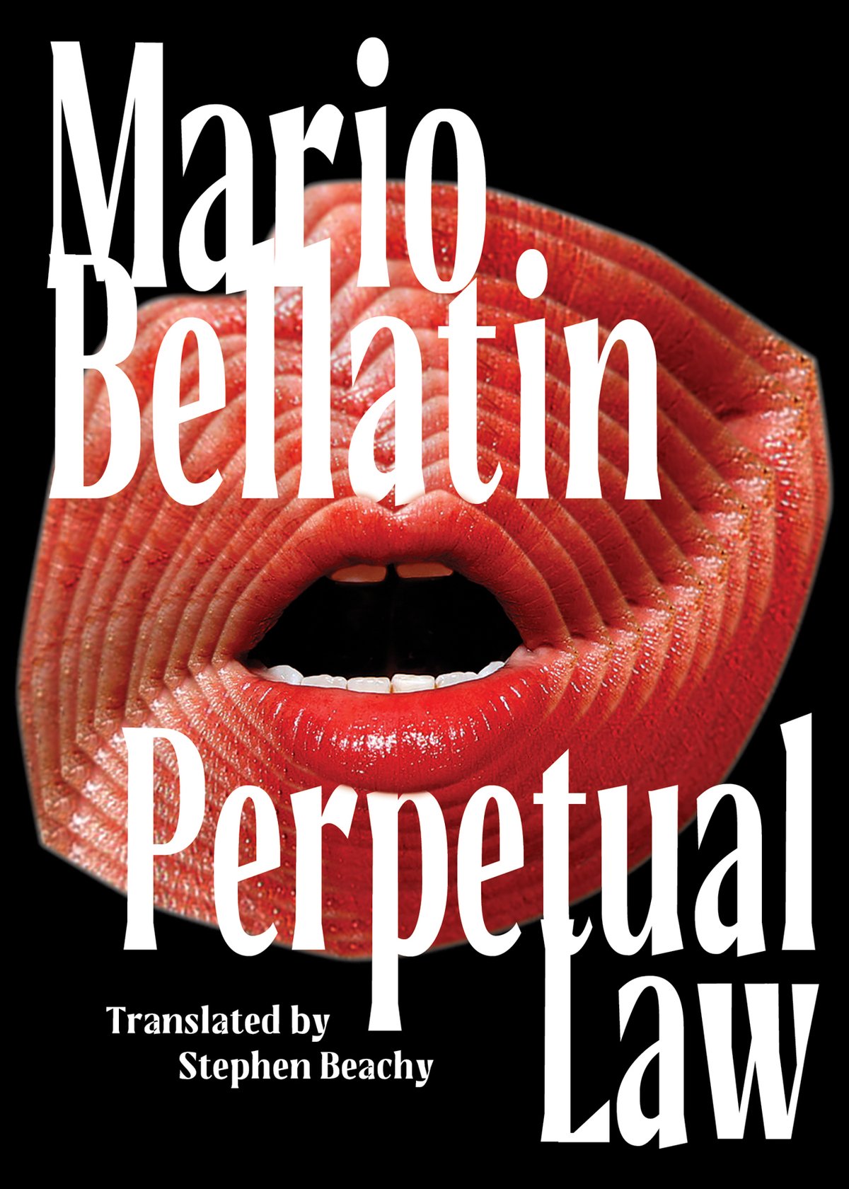 Cover of Perpetual Law (1896)