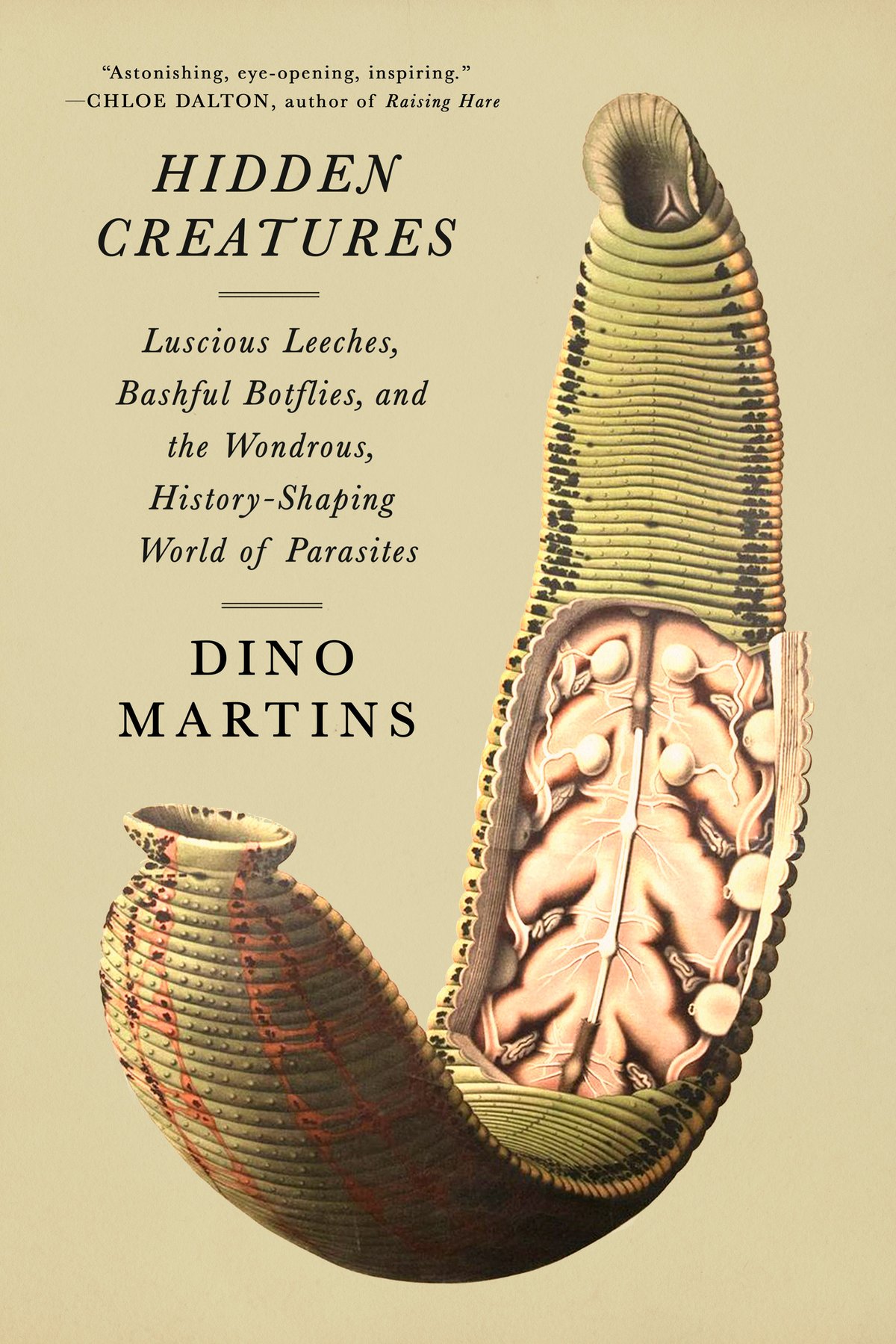 Cover of Hidden Creatures; Luscious Leeches, Bashful Botflies, and the Wondrous, History-Shaping World