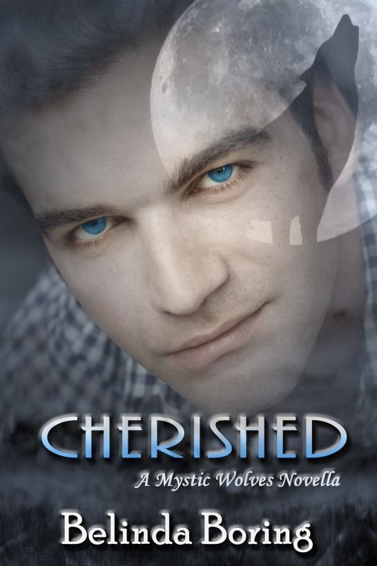 Cover of Cherished (2011)