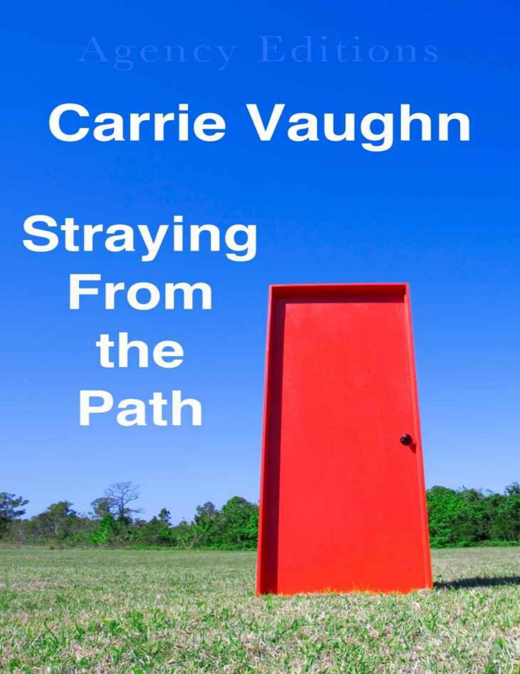 Cover of Straying From the Path (2001)