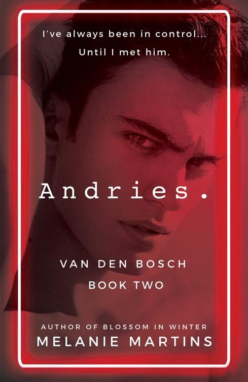 Cover of Andries. (1976)