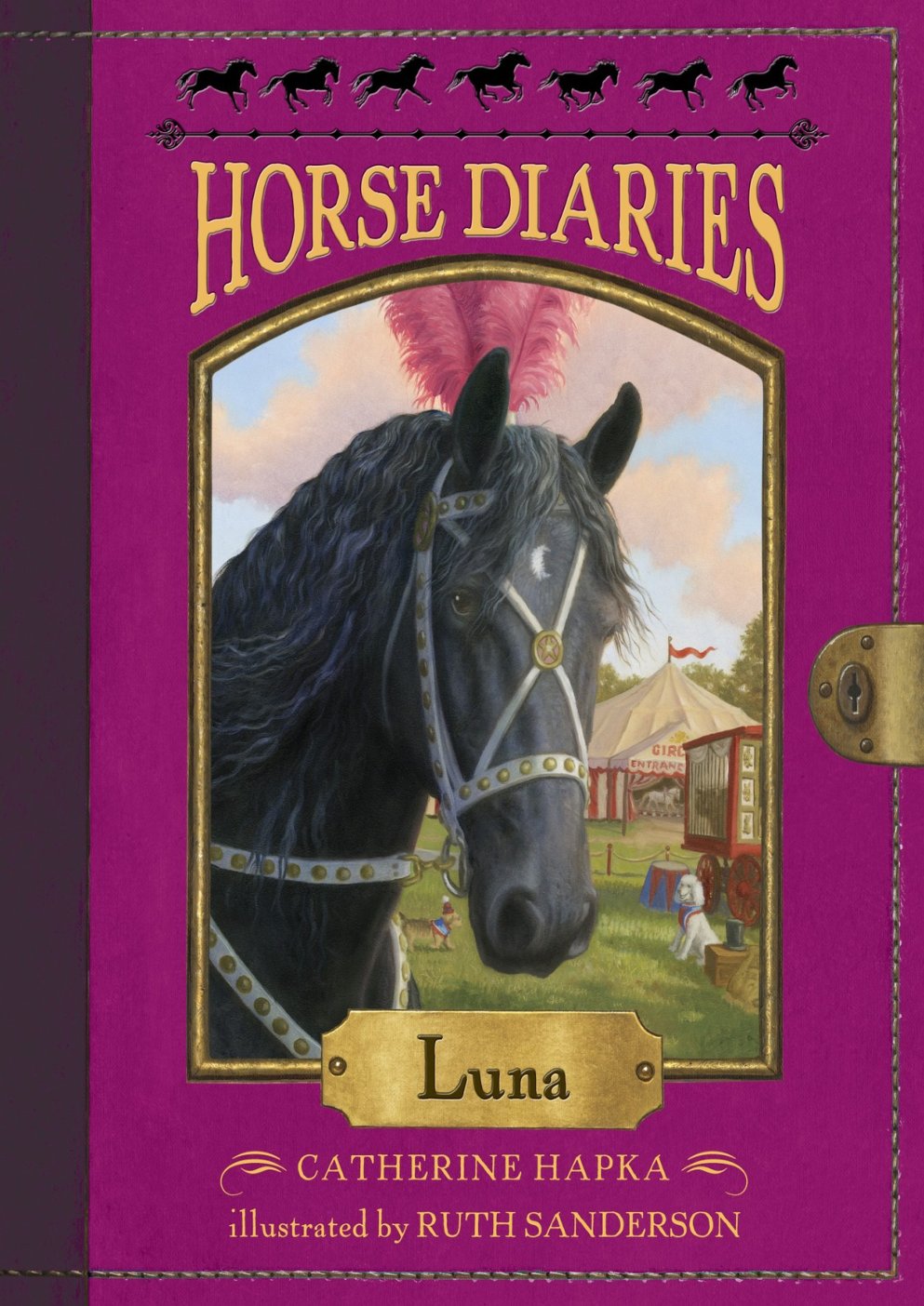 Cover of Horse Diaries #12