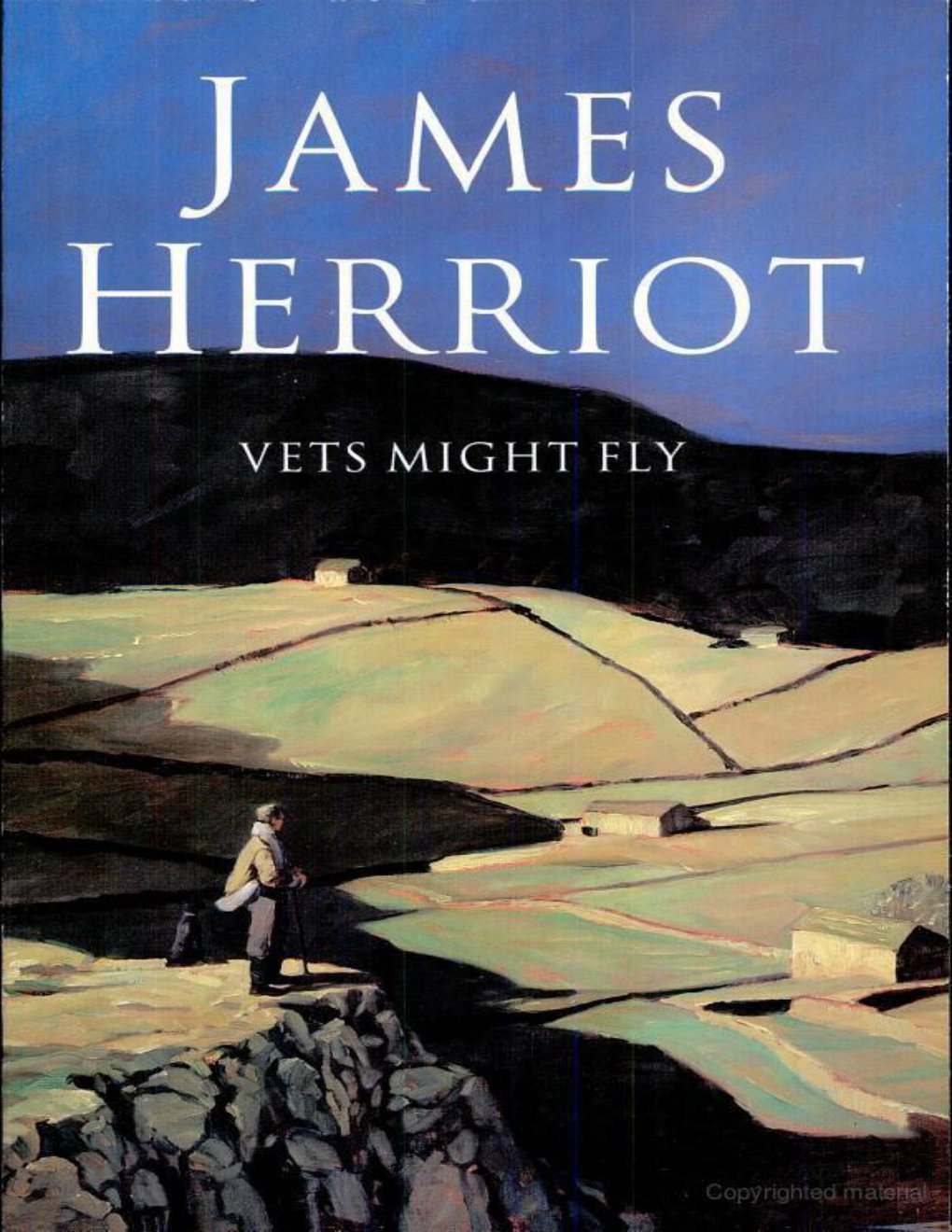 Cover of Vets Might Fly