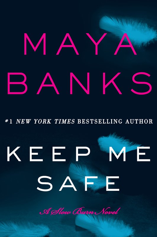 Cover of Keep Me Safe (2014)