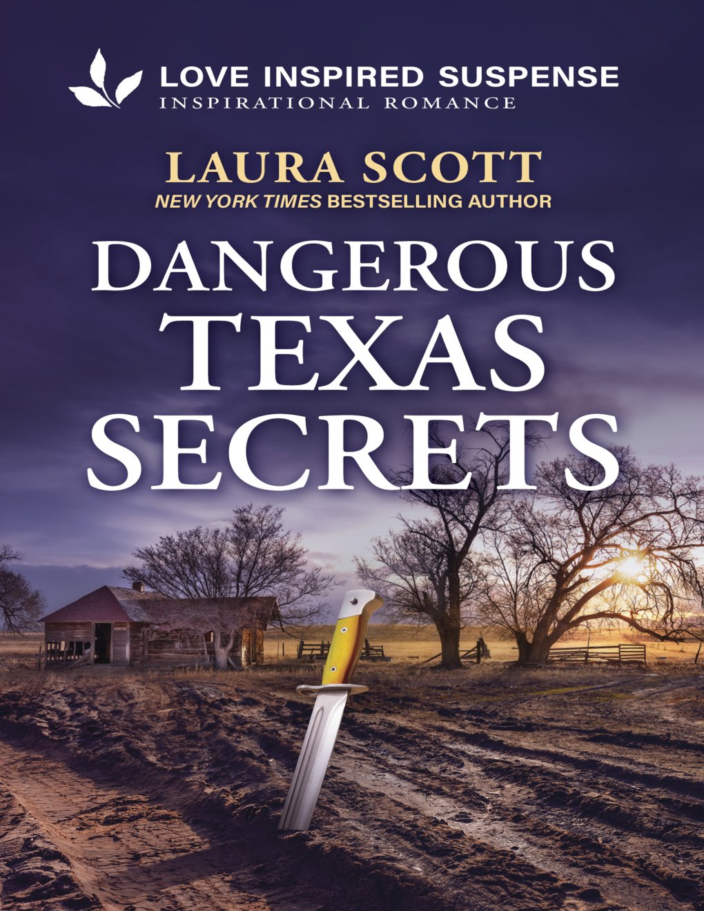 Cover of Dangerous Texas Secrets