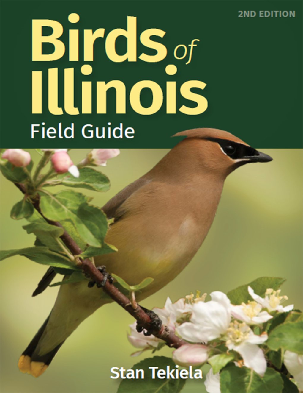 Cover of Birds of Illinois Field Guide