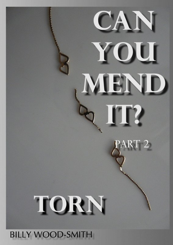 Cover of Can You Mend It? Part 2