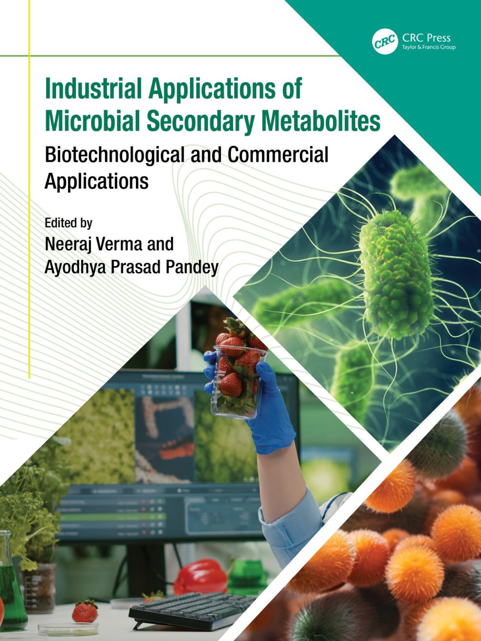 Cover of Industrial Applications of Microbial Secondary Metabolites Biotechnological and Commercial Applicati - Neeraj Verma