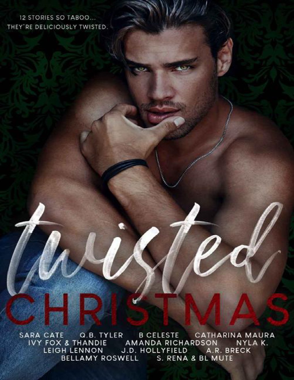 Cover of Twisted Christmas