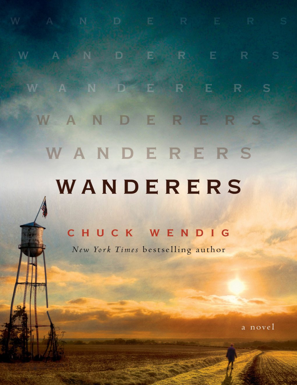Cover of Wanderers: A Novel: A Novel
