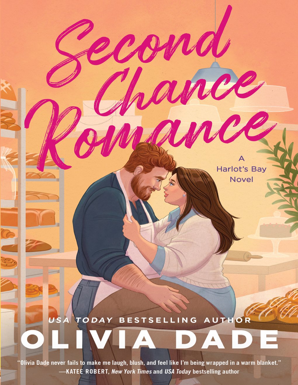 Cover of Second Chance Romance (2000)