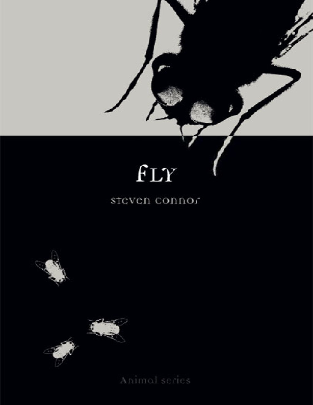 Cover of Fly