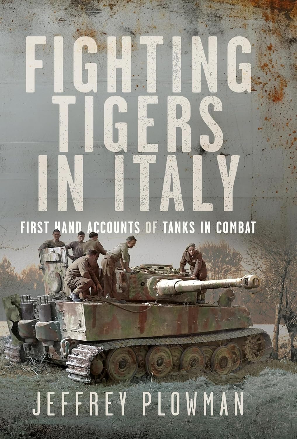 Cover of Fighting Tigers in Italy