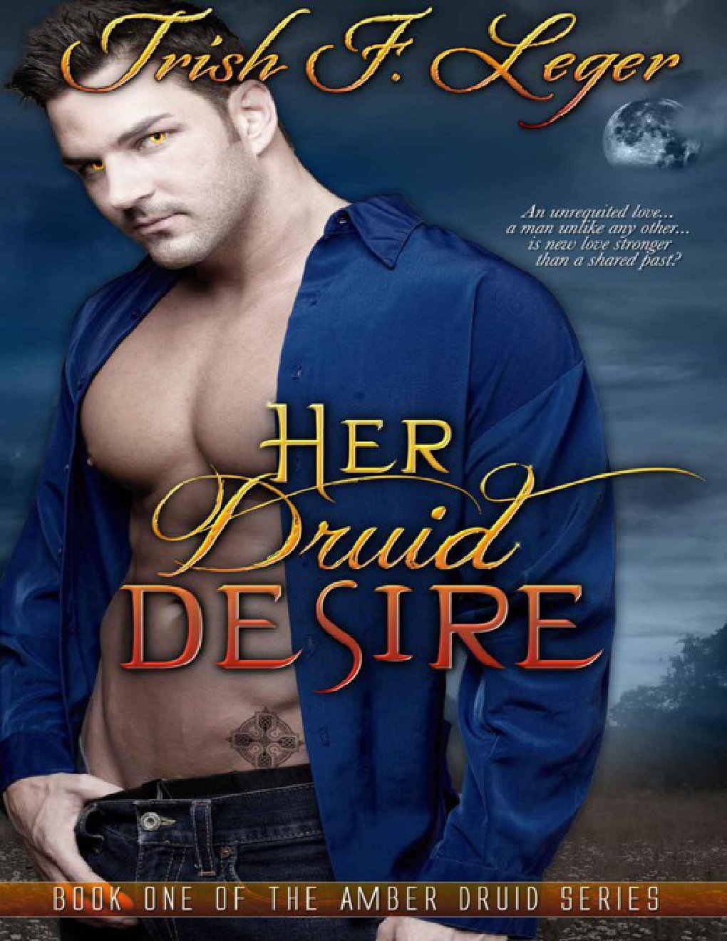 Cover of Her Druid Desire (2013)