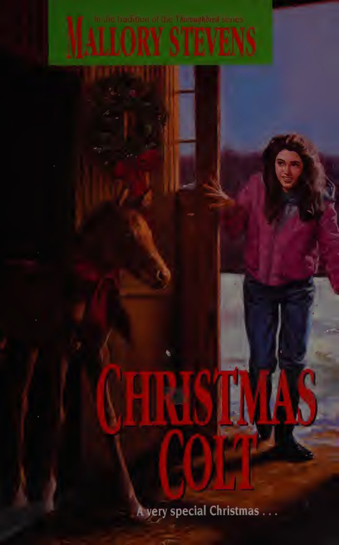 Cover of Christmas colt