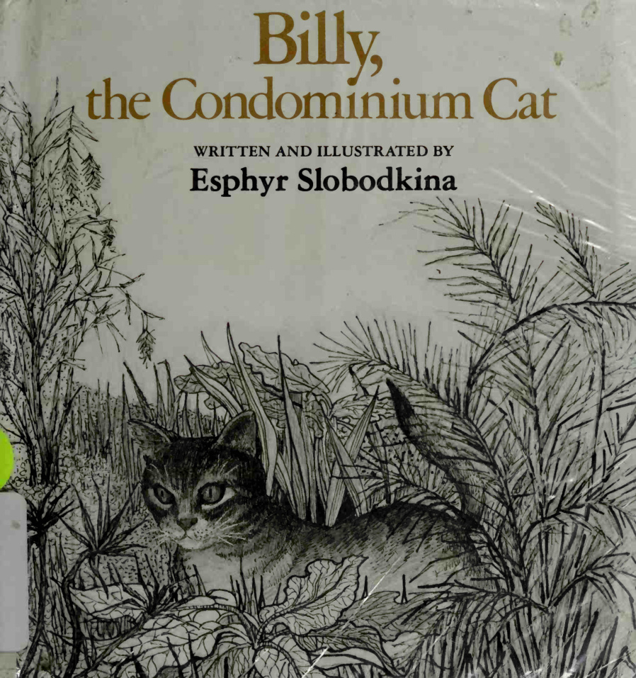 Cover of Billy, the condominium cat