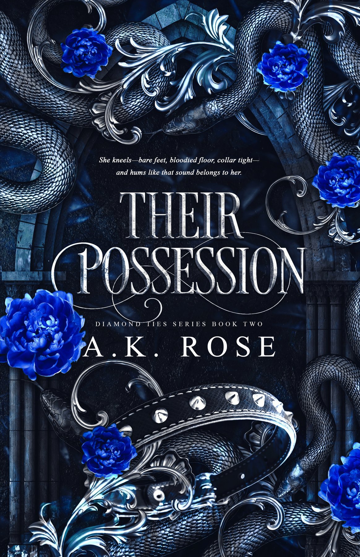 Cover of Their Possession (Diamond Ties Series Book 2)
