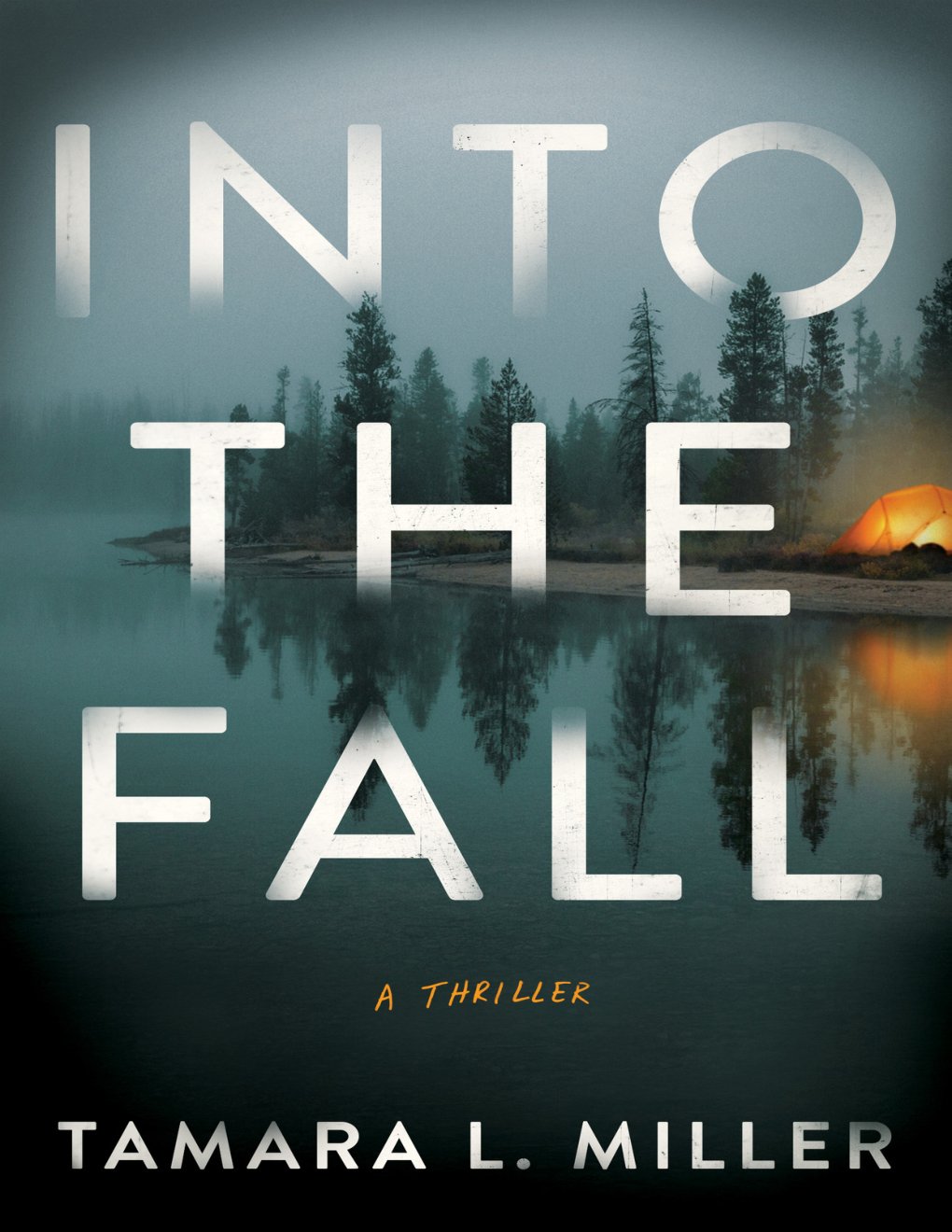 Cover of Into the Fall- A Thriller (2023)