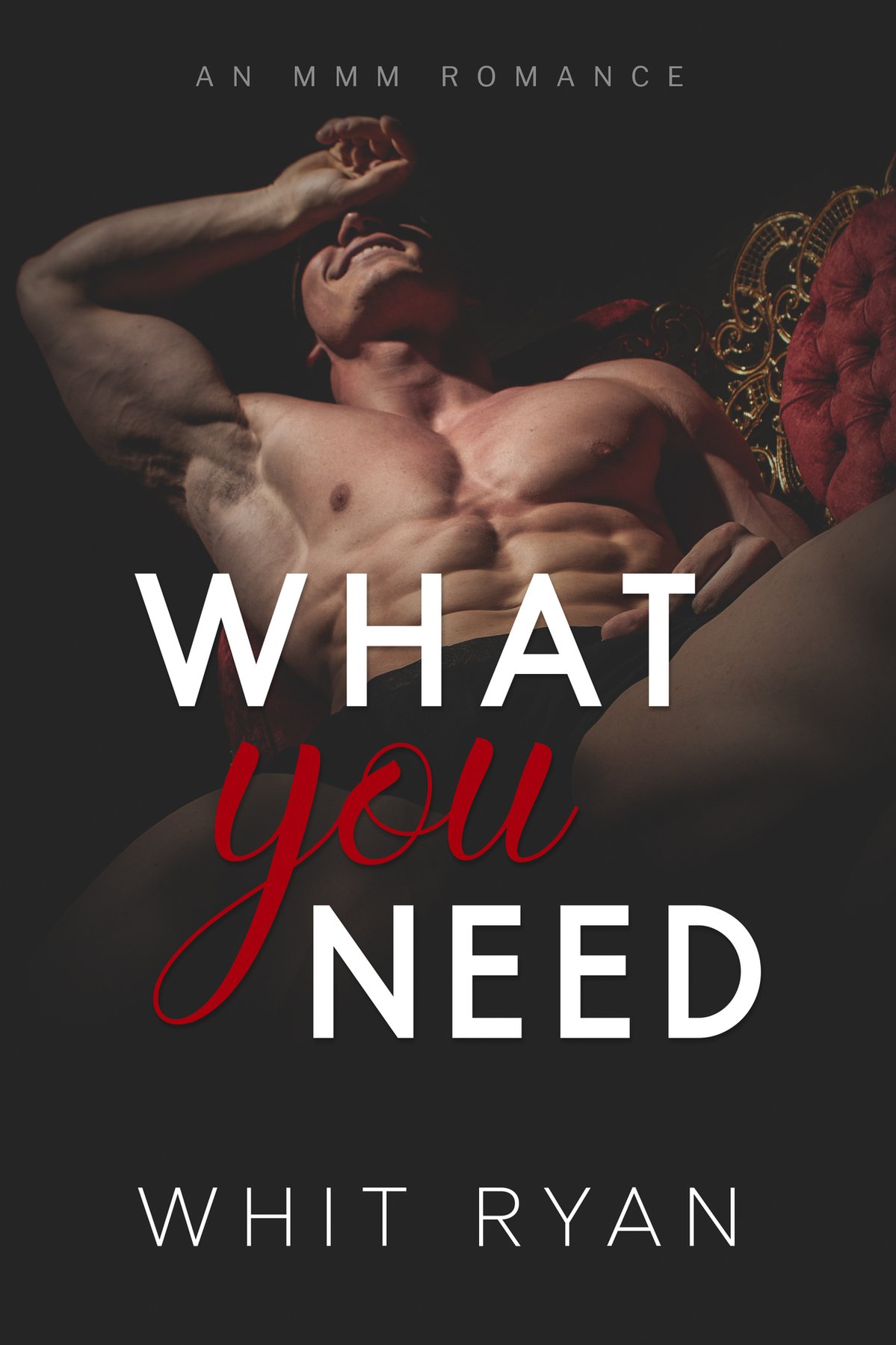 Cover of What You Need: An MMM Romance