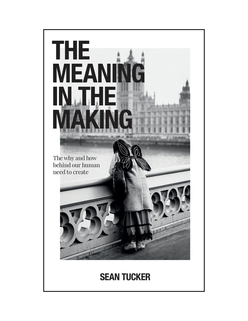 Cover of The Meaning in the Making